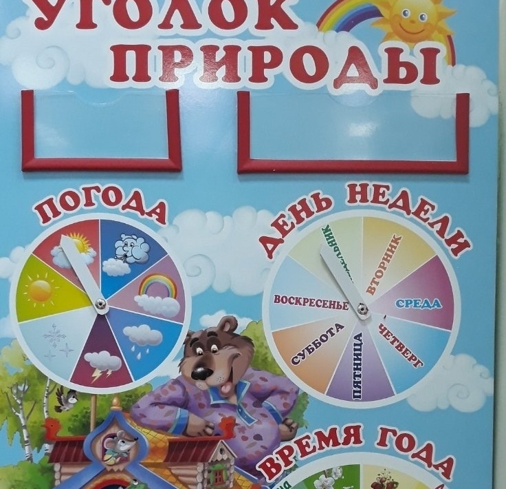 Уголок природы для детского сада